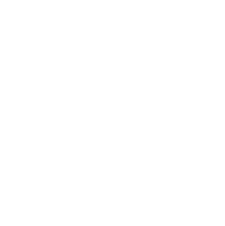 Bayer Bayer
