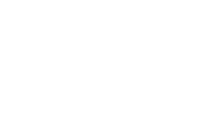 Roche Roche